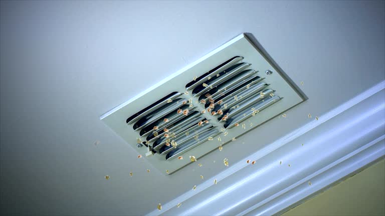 Best HVAC Maintenance and Cleaning  in Shady Hollow, TX
