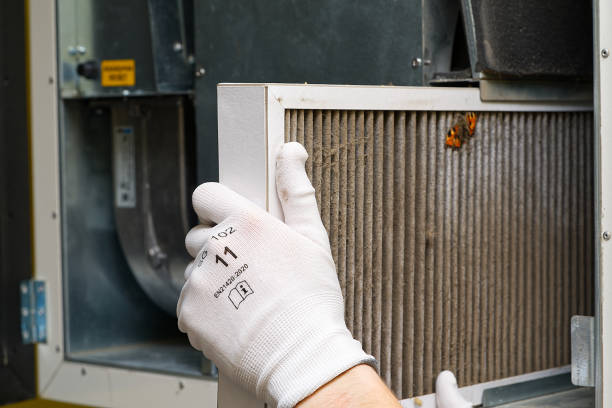 Best Affordable Air Duct Cleaning  in Shady Hollow, TX