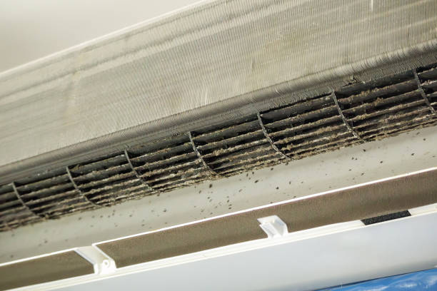 Best Air Duct Cleaning Near Me  in Shady Hollow, TX