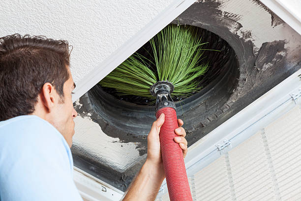 Best Professional Duct Cleaning Services  in Shady Hollow, TX